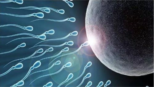 北京试管供卵机构,助您实现生育梦想