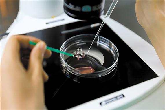 北京三代供卵试管孩子中介服务