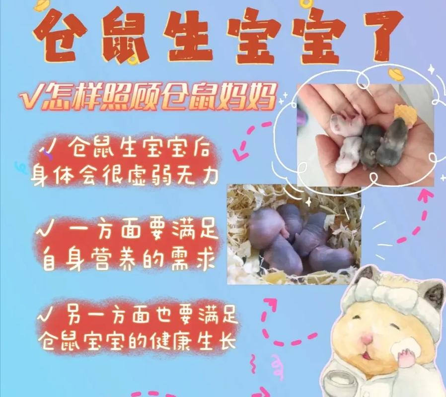 刚出生的仓鼠宝宝怎么养