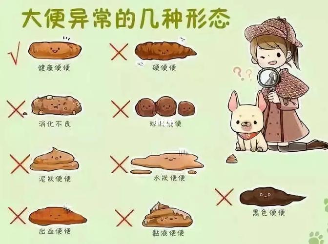 宝宝放屁臭不拉屎怎么回事