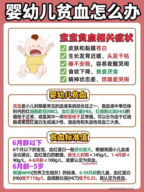 六个月宝宝贫血怎么补