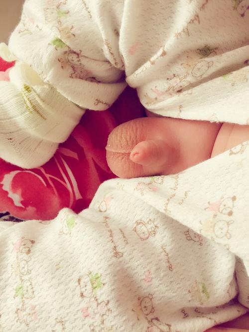 宝宝小鸡太小怎么办